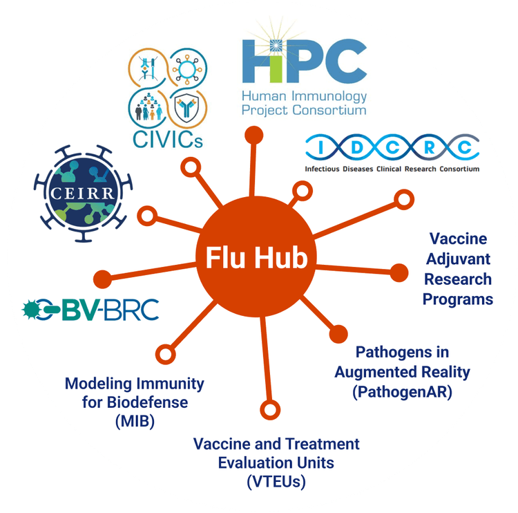 Flu Hub network image
